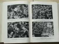 Dr. Pilát - Listnaté stromy a keře našich zahrad a parků (SZN 1953)