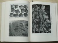 Dr. Pilát - Listnaté stromy a keře našich zahrad a parků (SZN 1953)