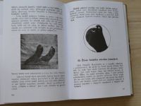 Pohledy do historie - Stará česká holubářská literatura (2010)
