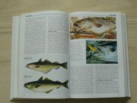 Encyklopedie sportovního rybářství (2005) Výzbroj a výtroj, techniky rybolovu, ryby
