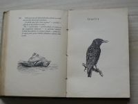 Dušan - Příhody zajíce Polňáka a jiné povídky o zvířatech (1930) il. Židlický