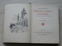Dušan - Příhody zajíce Polňáka a jiné povídky o zvířatech (1930) il. Židlický