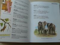 Illustrated First Dictionary - Výkladový slovník pro děti s přepisem výslovnosti a českýmy ekviv-