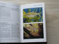 Mergus - Aquarien Atlas 1990/91 německy