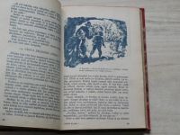 Pu Lorn Hrozný - román divokého slona + Černý blesk - Dobrodružný román malého Jackieho