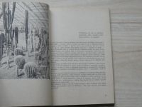 Malý lexikon rostlin (1966) hrnkové rostliny, letničky a dvouletky, řezané květy a zeleň, kaktusy a