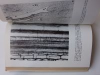 Fogg - Život a růst rostlin (1969) Malá moderní encyklopedie sv. 65