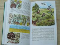 Gams - Rostliny a živočichové - Příručka k určování (1997)