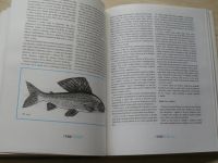 Kurnocik - Encyklopédia muškárenia (1984) slovensky
