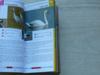 Bezzel - Ptáci - Průvodce přírodou - Určování podle 3 znaků (2012)