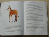 Kvasnica - Krajina s vlky - Honba za přízrakem Gévaudanu, Kniha II. 2009