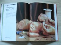 Melgerová - Starožitné panenky - Historie a pestrý život panenek z 19. a 20.století (1998)