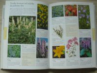 Oblíbené zahradní trvalky - Rostliny vhodné na malé i velké záhony