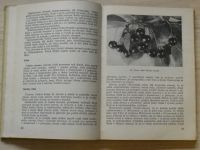 Smetáček a kol. - Jak zakládat a ošetřovat ovocné sady (SZN 1954)