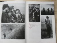 Mikulica, Ptáček, Kučera - Dravci a sokolnictví v ČSSR (SZN 1988)