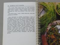Obrazová kuchařka Panoramy - Domácí čínská kuchyně (Polévky, maso, zelenina) (1987)