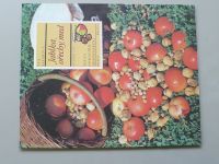  Sešity domácího hospodaření - svazek 150 - Eva šafářová - Jablka, ořechy, med (1988) 