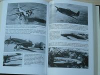 Boyne - Křídla proti křídlům (2001) Letectvo v II. sv. válce