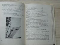 Koubek - Moderní konstrukce lešení, montážních plošin a zavěšených lávek (1975)