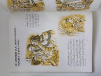 Brekilien, Omnés, Roche - Histoire de Bretagne (nedatováno) ilustrovaná historie Bretaň, francouzsky