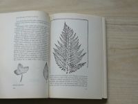 Seton - Kniha lesní moudrosti (1970)