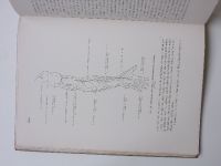 Weigner - Topografická anatomie ... - V. Topografická anatomie končetin (1945)