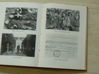 Vaňák, Filgas - Ploština v plamenech - Partyzánská kronika (1948)