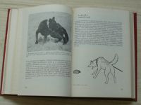 Vladimír Mikulica - Poznej svého psa - Základy etologie a psychologie psa (1985)