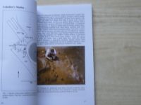 Svoboda - Předmostí - Archeologické památky střčdní Moravy sv.11 (2006)