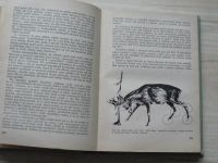 Dr. Kostroň - Myslivost jako živočišná výroba (SZN 1953)