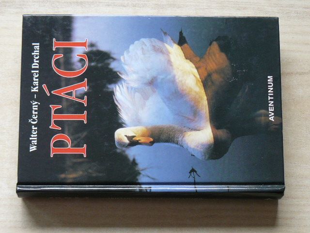 Černý, Drchal - Ptáci (2005)