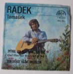 Radek Tomášek – Zpíval jen rokenrol, nic víc (Don't Play Your Rock'n Roll To Me) / Tentokrát vážně odcházím (1978)