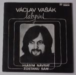Václav Vašák, Labyrint – Zůstanu sám / Hlásím návrat (1981)