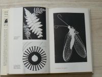 Šimek - Zvláštní fotografické postupy (1980)