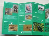 Beskydy - domov evropských živočichů - Natura 2000 - plakát