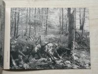 Olšanská - Mionší - Přírodovědná stezka pralesovou rezervací (1969)