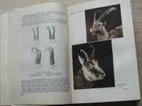 Javůrek - Zelená kniha (1947) Myslivecká zoologie, biologie, lov a chov naší zvěře, lovecké črty