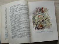 Javůrek - Zelená kniha (1947) Myslivecká zoologie, biologie, lov a chov naší zvěře, lovecké črty