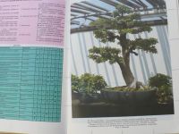 Dušek, Herynek - Bonsai - Základy pěstování (1991)