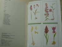 Tlusták, Jongepierová-Hlobilová - Orchideje Bílých Karpat (1990)