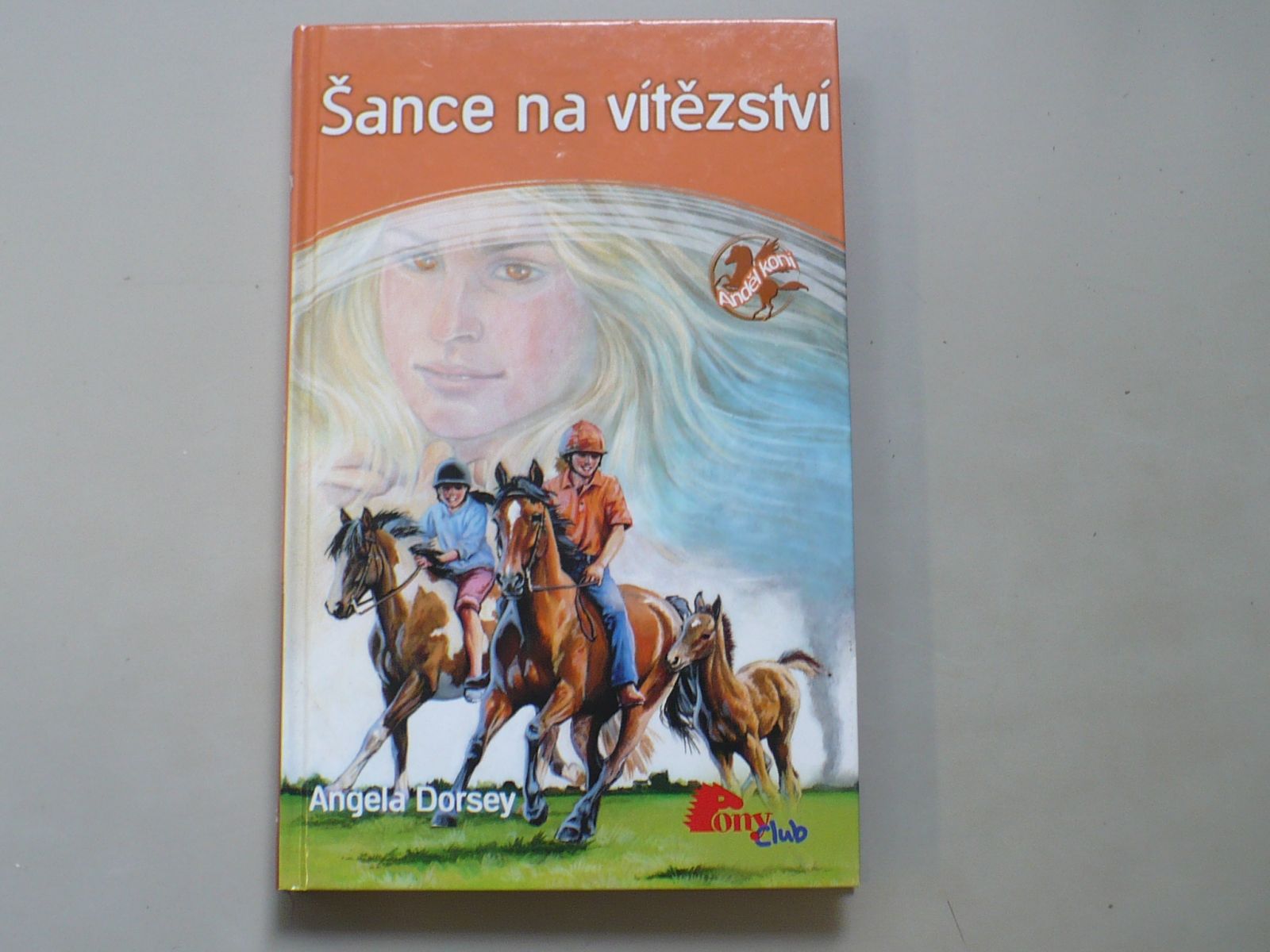 Dorsey - Anděl koní 7 - Šance na vítězství (2008)