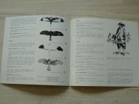 Dravci a jejich ochrana - Katalog k výstavě, Vsetín 1983