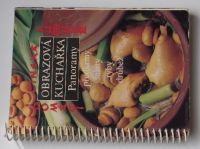 Obrazová kuchařka Panoramy - Domácí čínská kuchyně - předkrmy, saláty, ryby, drůbež (1988)