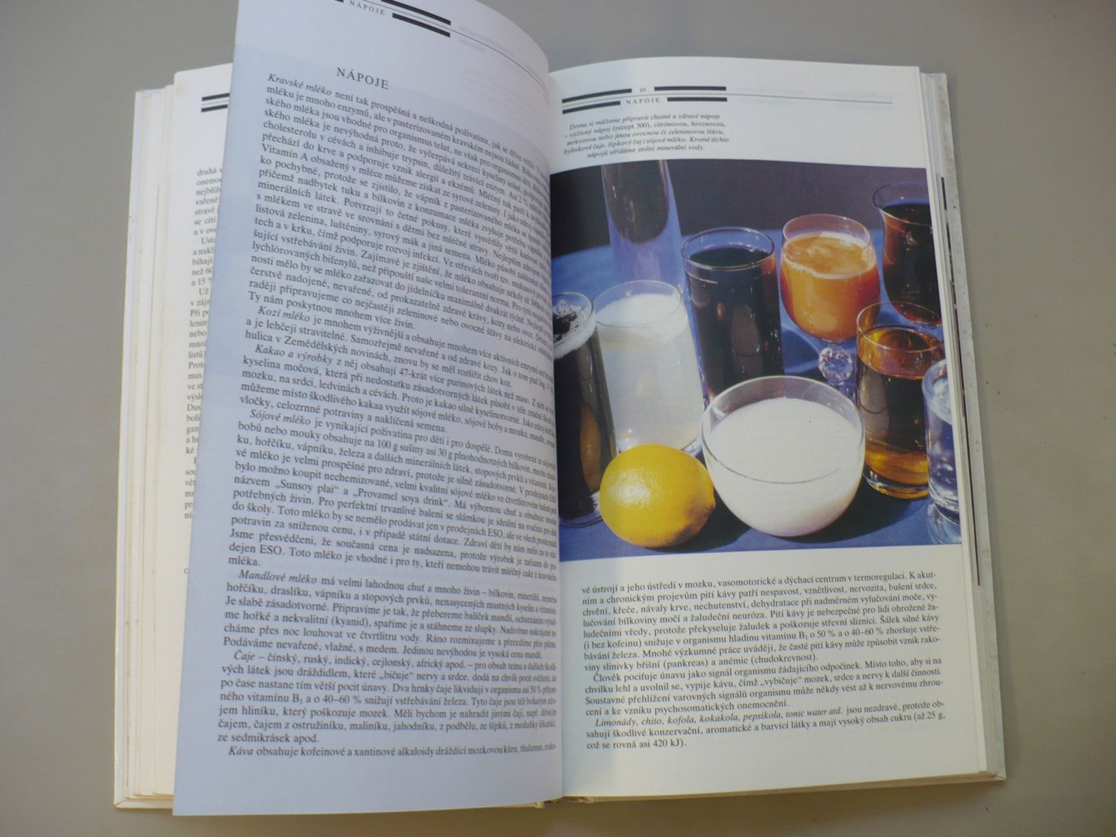 Karel Červený - Vegetariánská kuchařka (1991) Vegetariánství v teorii a v praxi