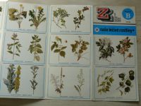 Panorama Z 24 - Naše léčivé rostliny