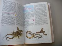 Červená Kniha 2 ohrožených a vzácných druhů rostlin a živočichů ČSSR (1990)1-Ptáci, 2- Kruhoústí, ryby, obojživelníci, plazi, savci 3 - Bezobratlí