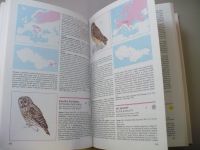 Červená Kniha 2 ohrožených a vzácných druhů rostlin a živočichů ČSSR (1990)1-Ptáci, 2- Kruhoústí, ryby, obojživelníci, plazi, savci 3 - Bezobratlí