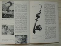 Dřevo v životě valašského lidu - Katalog výstavy 1972