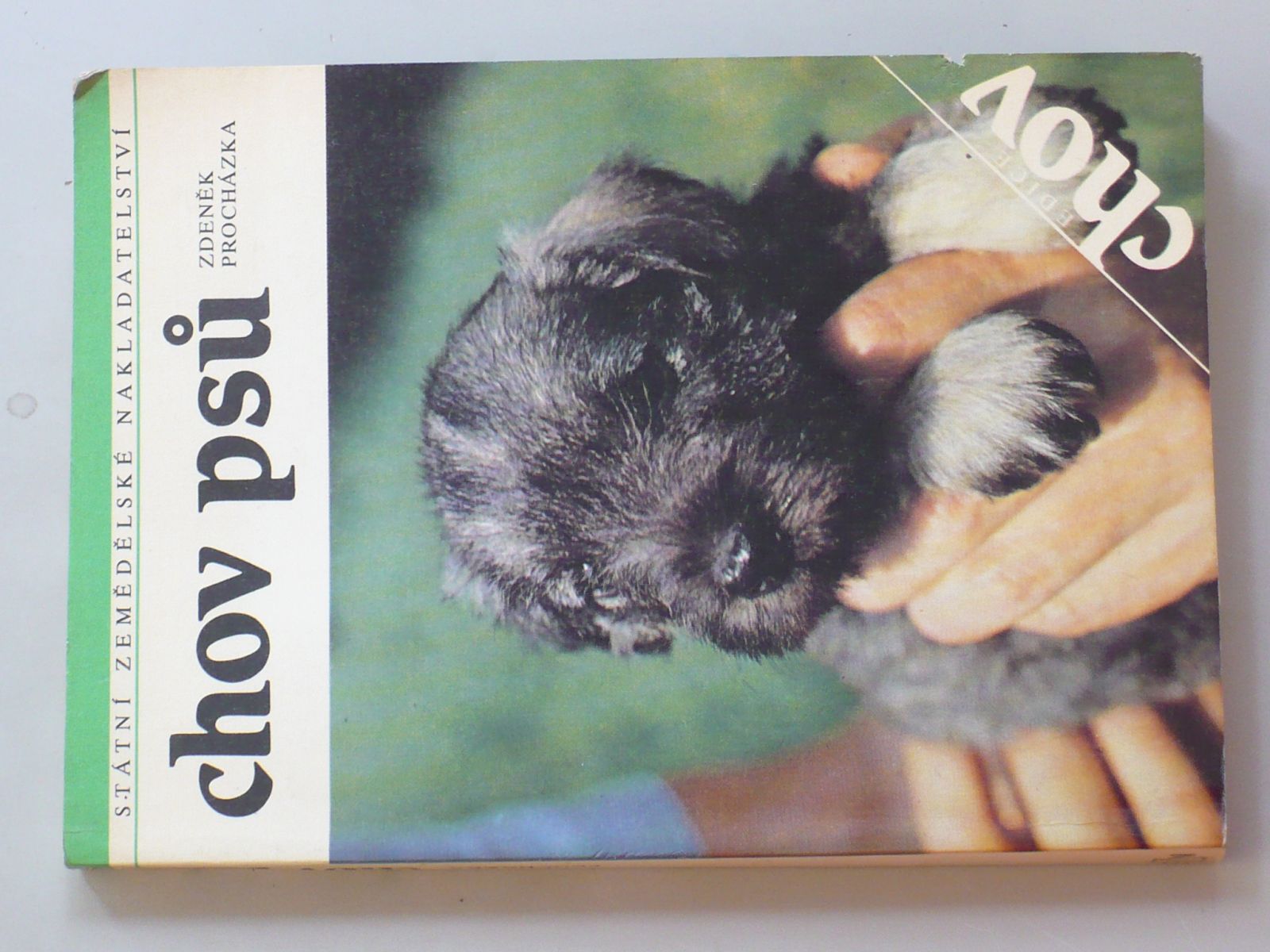 Zdeněk Procházka - Chov psů (1989)