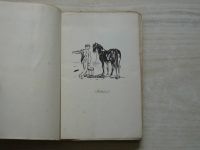 Prokůpek - Baba - Román ze života koní (1940)